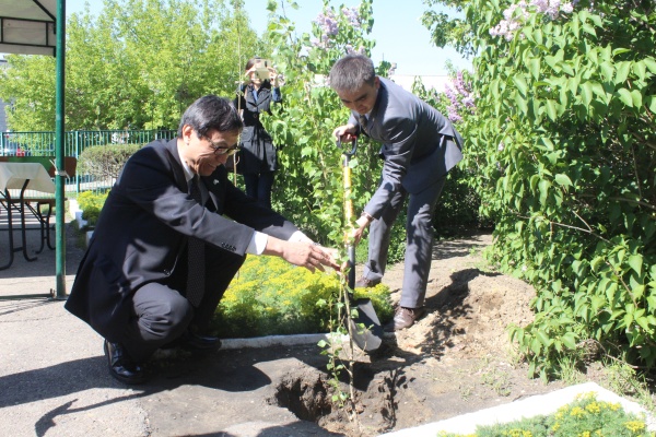 Из Страны восходящего солнца