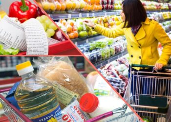 БАҒА ТҰРАҚТЫЛЫҒЫ БАҚЫЛАУДА