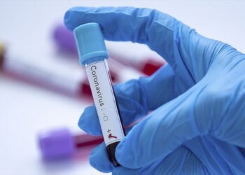 Аймақта КВИ жұқтырғандар саны 2,8 есеге өсті