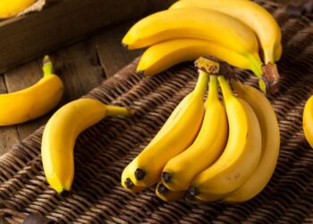 Мамандар: Бананның жер бетінен біржолата жойылып кету қауіпі бар