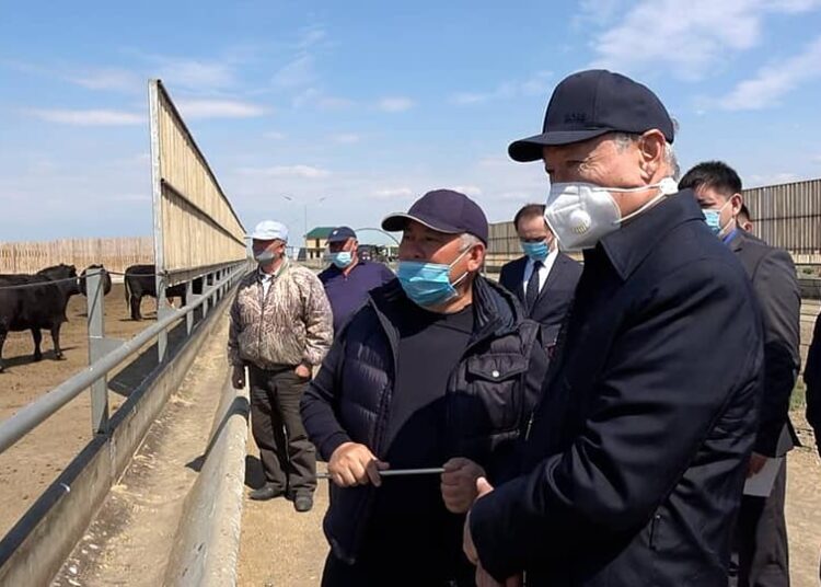 Қожалық әлемдік нарыққа шығуды жоспарлап отыр