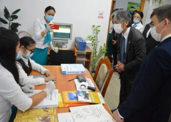 ЖАПОН ЕЛШІСІ СЕМЕЙДЕ