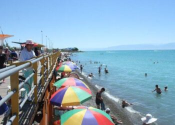 Еліміздегі ең үздік ондыққа кірген Алакөлдегі демалыс базаларының саны 200-ден асты