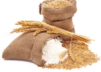 "Ұн тапшылығы болуы мүмкін": Павлодарда ұн өндірушілері мемлекеттен көмек сұрады