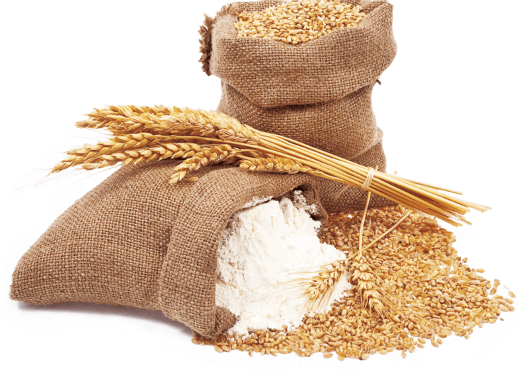 "Ұн тапшылығы болуы мүмкін": Павлодарда ұн өндірушілері мемлекеттен көмек сұрады