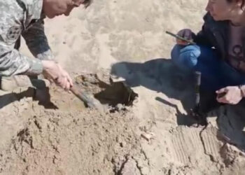 Семейде мамонттың тісі табылды