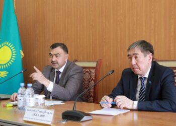 МЫҢНАН АСТАМ МҮМКІНДІГІ ШЕКТЕУЛІ БАЛА АРНАЙЫ ҚЫЗМЕТ АЛАДЫ