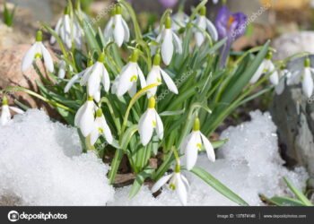 Күн 25 градусқа дейін жылынады: Алдағы үш күнге ауа райы болжамы жарияланды