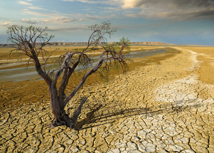 Синоптиктер: Қазақстанда мамыр айында бірнеше облыста құрғақшылық болады