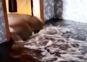 Павлодар облысында еріген қар суы көпбалалы отбасының үйін басып қалды (видео)