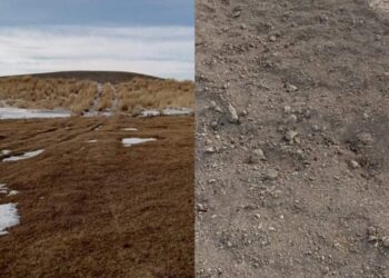 "Ұрылар алыстан келген жоқ": ШҚО-да тарихи маңызы бар қорымдар тоналып жатыр