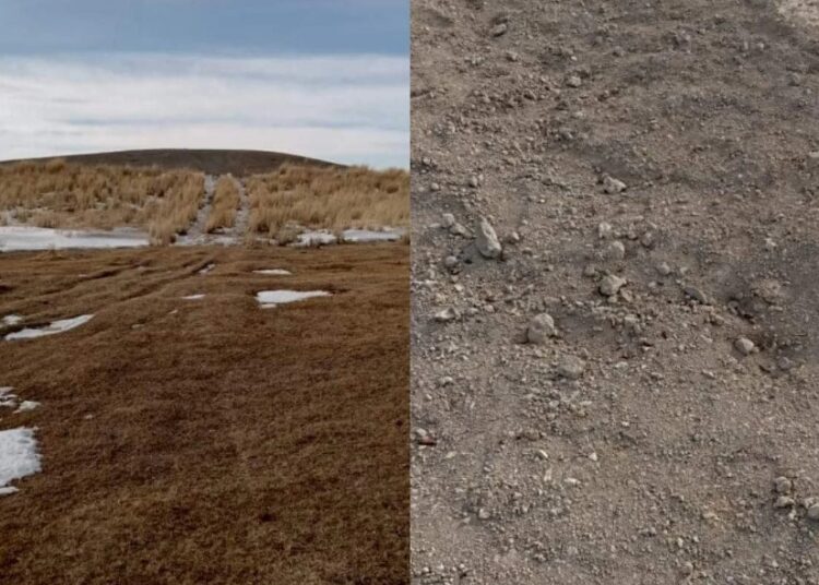 "Ұрылар алыстан келген жоқ": ШҚО-да тарихи маңызы бар қорымдар тоналып жатыр