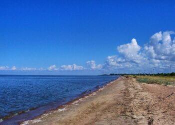 ШҚО-дағы су қоймасы апатты күйде жұмыс істеп тұр