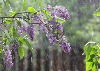 Елімізде алдағы күндері ауа райы қандай болады?