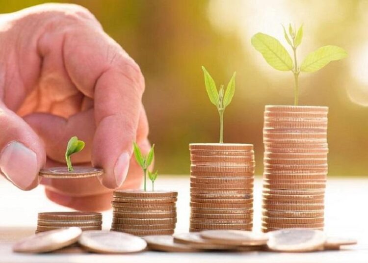 Семейде ауыл шаруашылығы саласында 8 инвестициялық жоба жүзеге асырылуда
