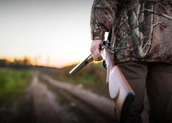 ШҚО-да елік атқан браконьер сотталды