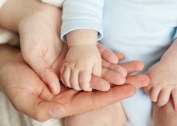 Жәрдемақылар мен әлеуметтік төлемдер: ерекшеліктері мен өзгерістері