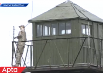 Еліміздің Қытаймен арадағы шекарасын жасанды қуыршақ «күзетіп» тұр