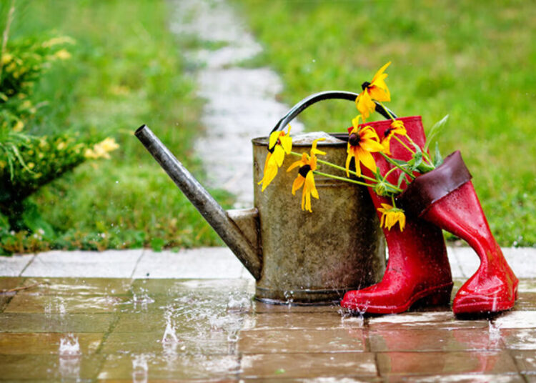 Бүгін еліміздің басым бөлігінде жаңбыр жауып, кей өңірде үсік жүреді