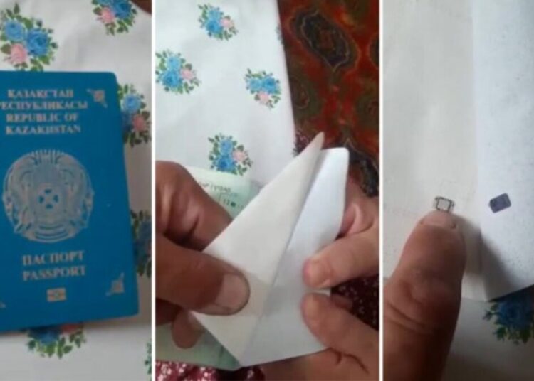 "Бақылауға арналған" - төлқұжаттағы чип не үшін керек екені белгілі болды