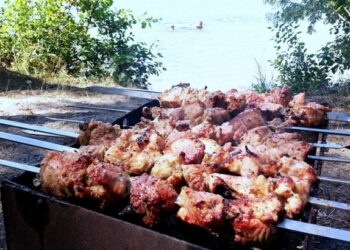 Орманда кәуап пісірген жігіт 2 жылға сотталып 125 млн теңге айыппұл өтейді