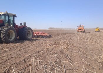 Семей өңірінде егін егуге дайындық қалай жүріп жатыр