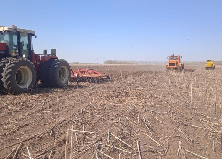 Семей өңірінде егін егуге дайындық қалай жүріп жатыр