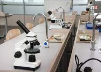 БІЛІМ БЕРУ САЛАСЫ БАСТЫ НАЗАРДА