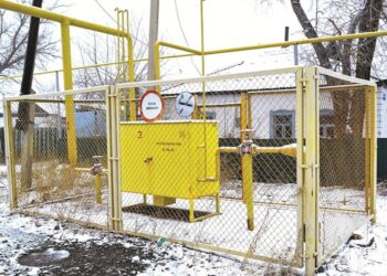 КӨГІЛДІР ОТЫН КӨПТІҢ ИГІЛІГІ ДЕСЕК ТЕ...