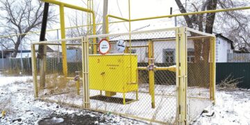 КӨГІЛДІР ОТЫН КӨПТІҢ ИГІЛІГІ ДЕСЕК ТЕ...