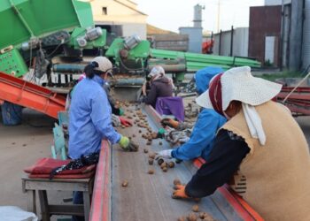 ЖҮЙЕЛІ ҚОЛДАУ КӨРСЕТІЛЕДІ