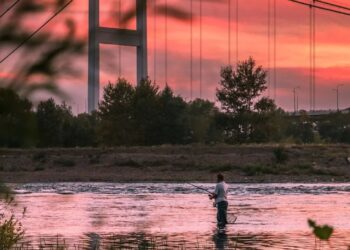 ҚОҒАМДЫҚ ТЫҢДАУЛАР