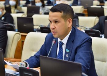 Желіде сынның астында қалған депутат жауап берді