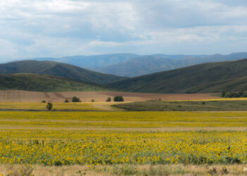 Тоқаев ШҚО-дағы кейбір аудандарды бөлу туралы Жарлыққа қол қойды