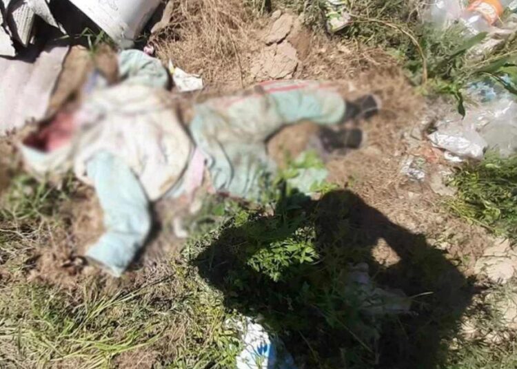 Басы бір бөлек, денесі бір бөлек жатты: Сарқан ауданында куәгер бес жастағы қыз баланың денесін қалай тауып алғанын айтты