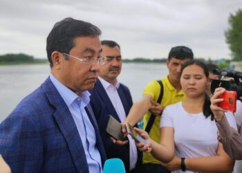 Ертістің жағасында…