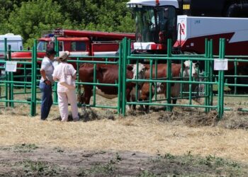 Жарма ауданында қазақтың ақбас сиыры тұқымын өсірушілердің семинары өтті