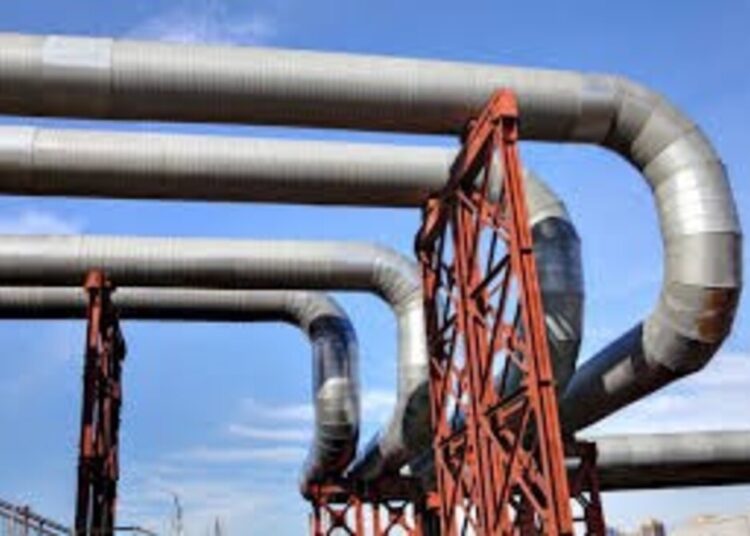 ЖЫЛЫТУ МУСЫМЫНА ДАЙЫНДЫҚ ПЫСЫҚТАЛДЫ