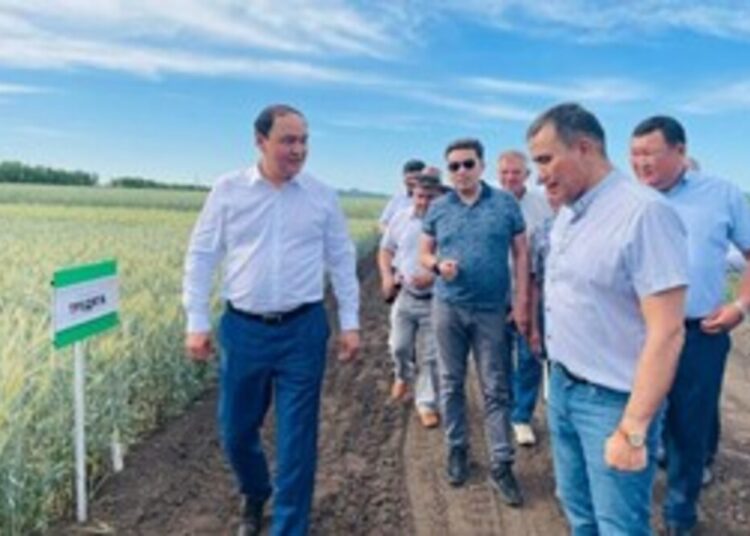 СУБСИДИЯЛАУДЫҢ ЖАҢА ТЕТІГІ ӘЗІРЛЕНУДЕ