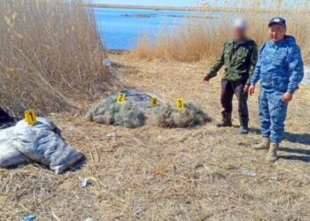 ШҚО-да браконьерлік жолмен ауланған екі тоннадан артық балық тәркіленді
