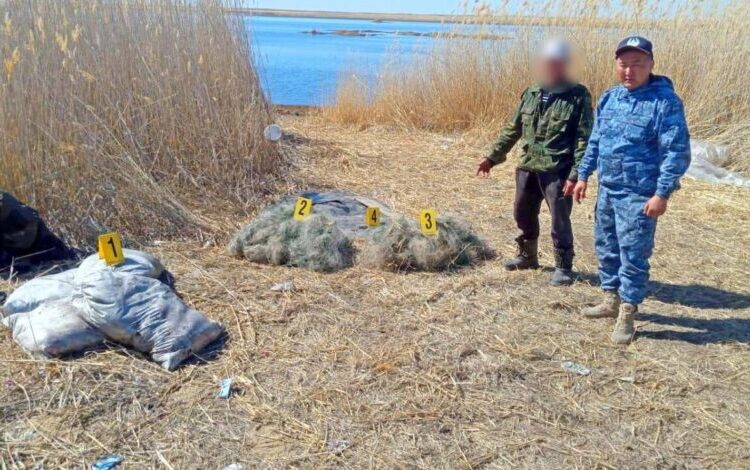 ШҚО-да браконьерлік жолмен ауланған екі тоннадан артық балық тәркіленді