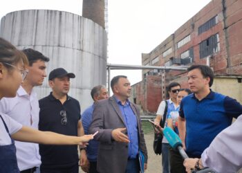 ЖЫЛУМЕН ҚАМТУ: АРНАЙЫ ЖҰМЫС ТОБЫ ҚҰРЫЛАДЫ