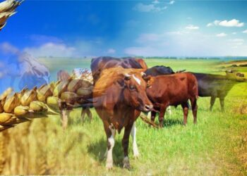 ҚУАТТЫ ӨҢІРЛЕР – ЕЛ ДАМУЫНЫҢ ДРАЙВЕРІ