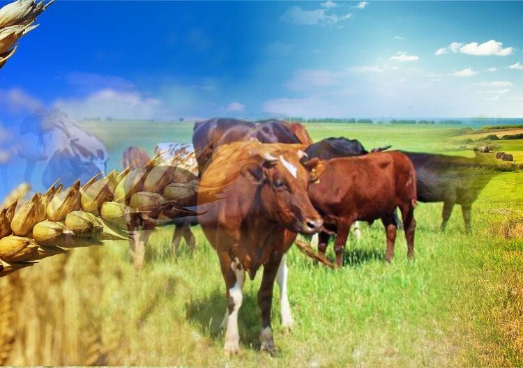 ҚУАТТЫ ӨҢІРЛЕР – ЕЛ ДАМУЫНЫҢ ДРАЙВЕРІ