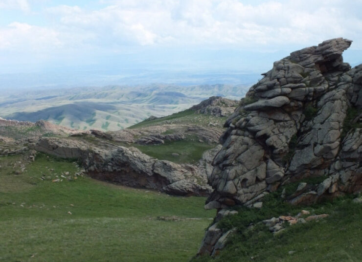 ТАРБАҒАТАЙ ЖАНДАНАДЫ