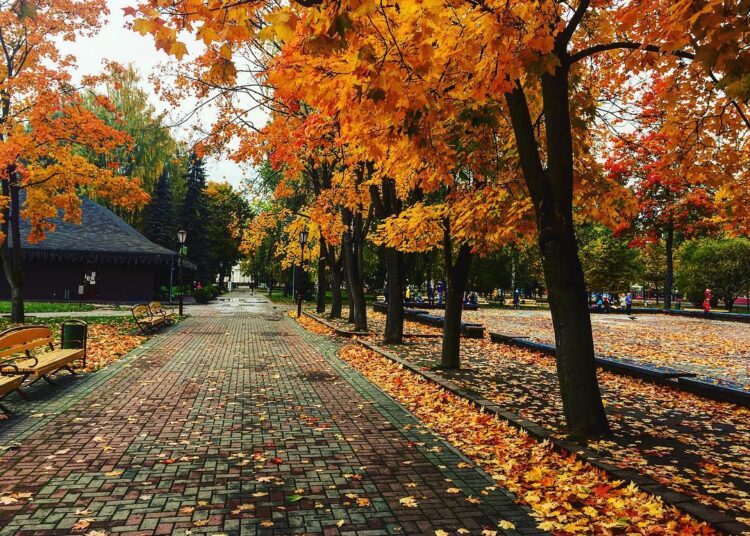 Екі аптадан соң күз, алдағы уақытта ауа райы қандай болмақ