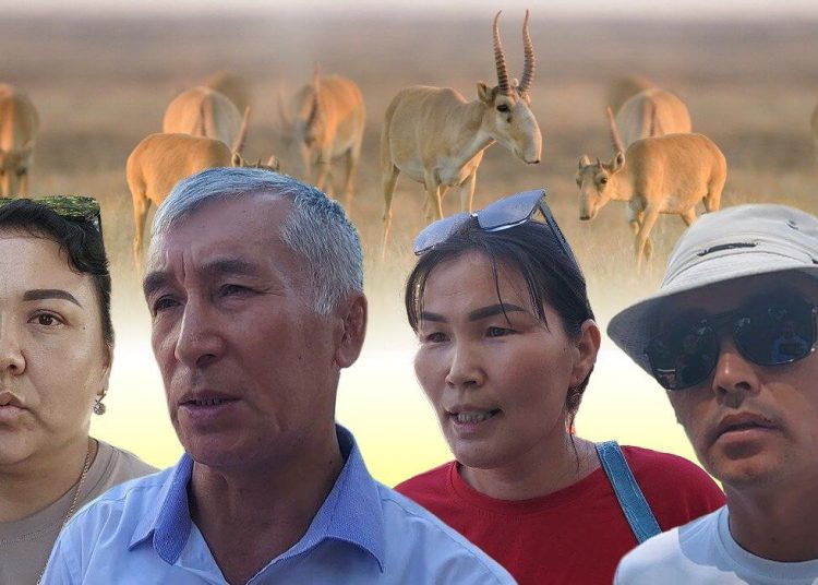 «51 бала тірі жетім болды»: БҚО-да киік атқаны үшін сотталғандардың туыстары көмек сұрады