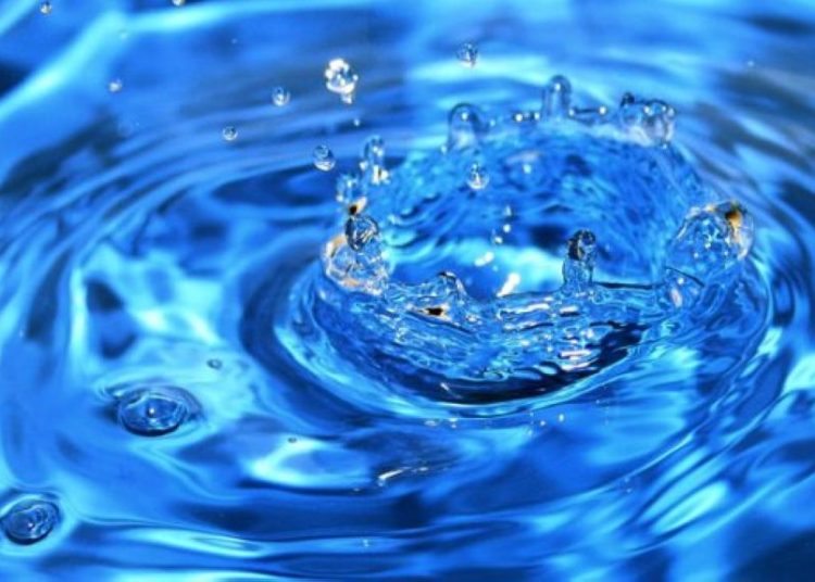 Судың да сұрауы бар