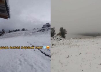 Шығыс Қазақстан облысында қар жауды