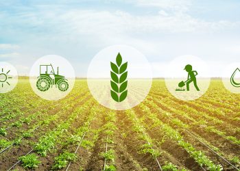 Даму динамикасы тұрақты